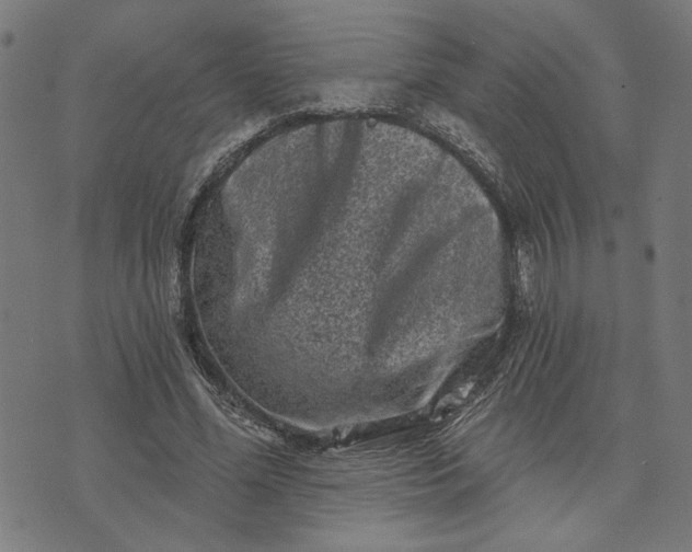 X0000074260588200609081738