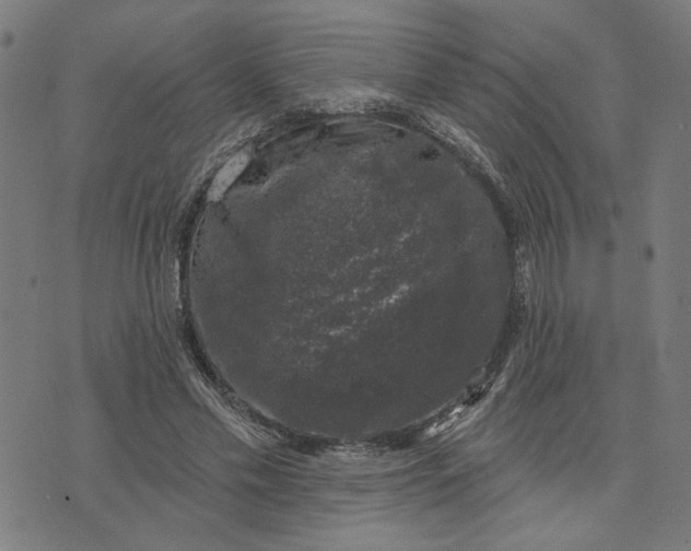 X0000074260589200609081738