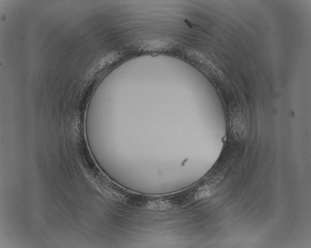 X0000074260591200609081738