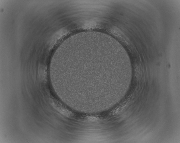 X0000074260592200609081738