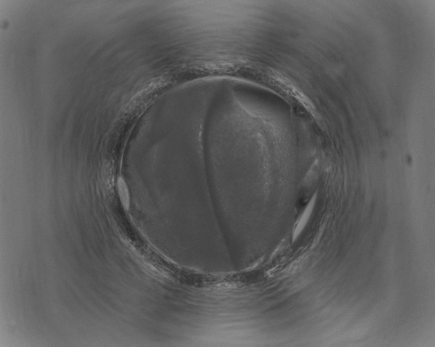 X0000074260593200609081738