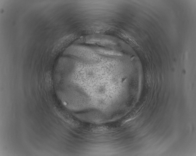 X0000074260594200609081738