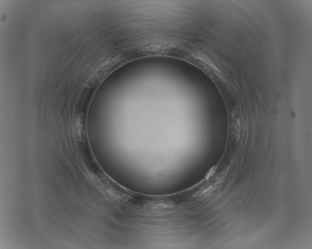 X0000074260597200609081738