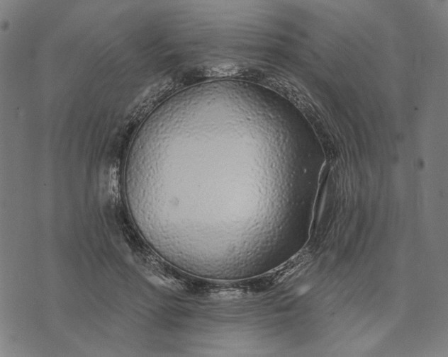 X0000074260598200609081738