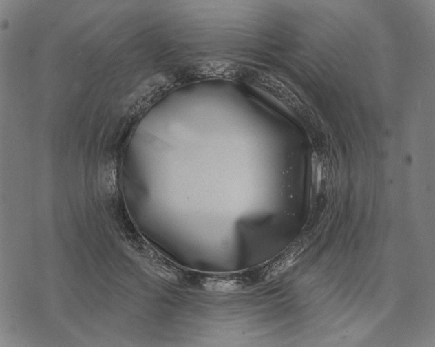 X0000074260602200609081738