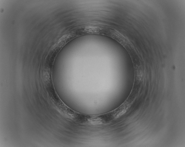 X0000074260603200609081738