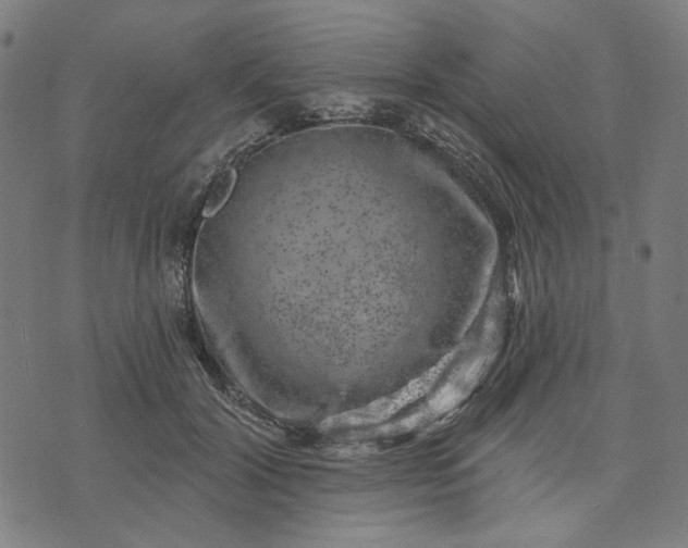 X0000074260604200609081738