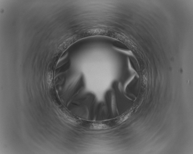 X0000074260605200609081738