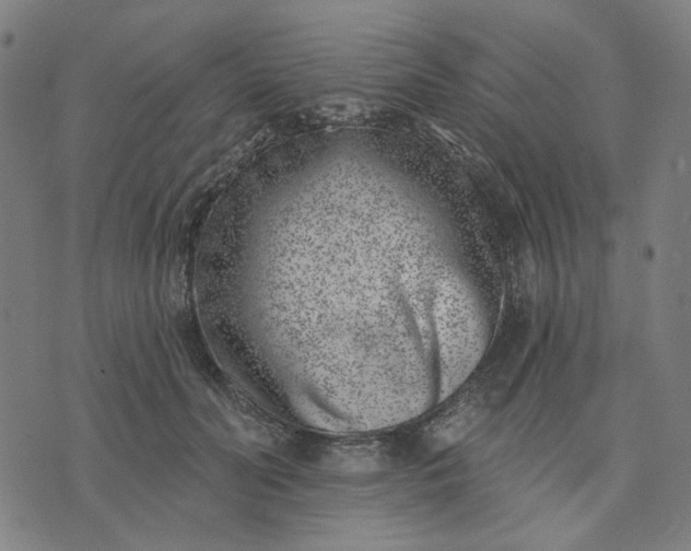 X0000074260606200609081738