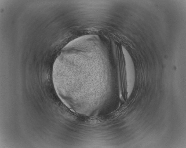 X0000074260608200609081738