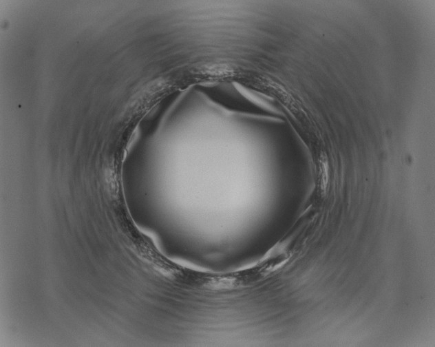 X0000074260609200609081738