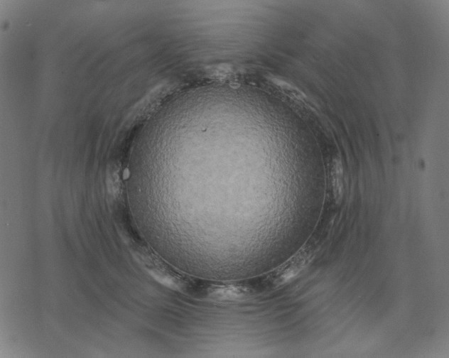 X0000074260611200609081738