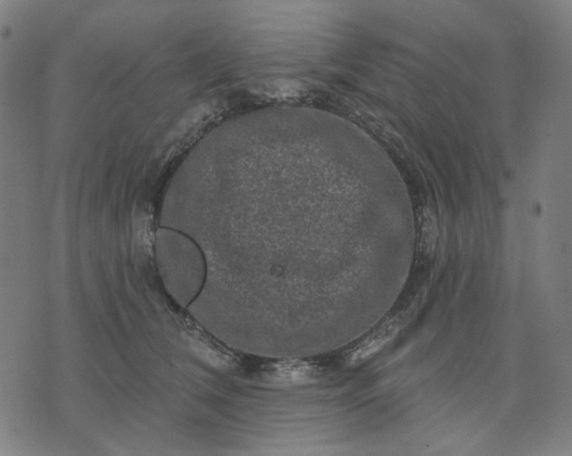 X0000074260612200609081738