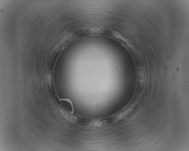 X0000074260613200609081738