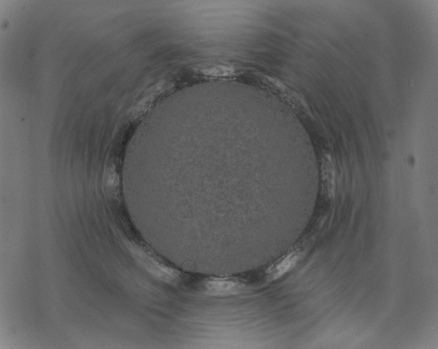 X0000074260614200609081738