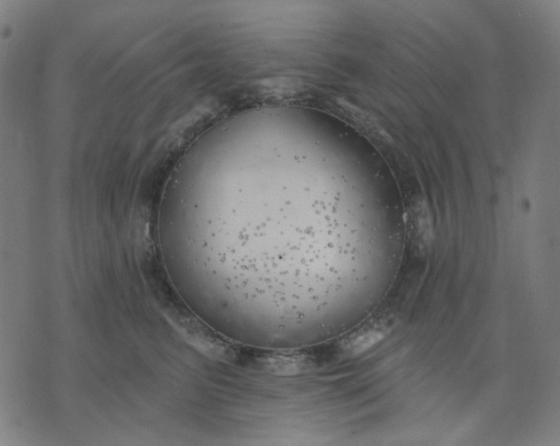 X0000074260615200609081738