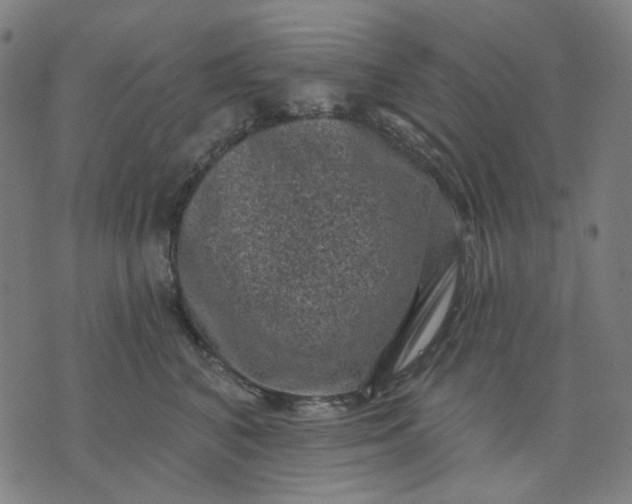 X0000074260616200609081738