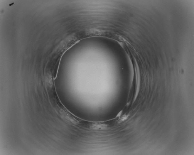 X0000074260617200609081738