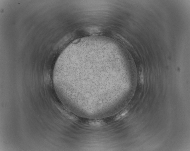 X0000074260618200609081738