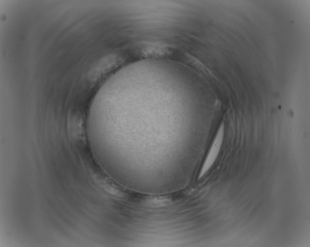 X0000074260619200609081738