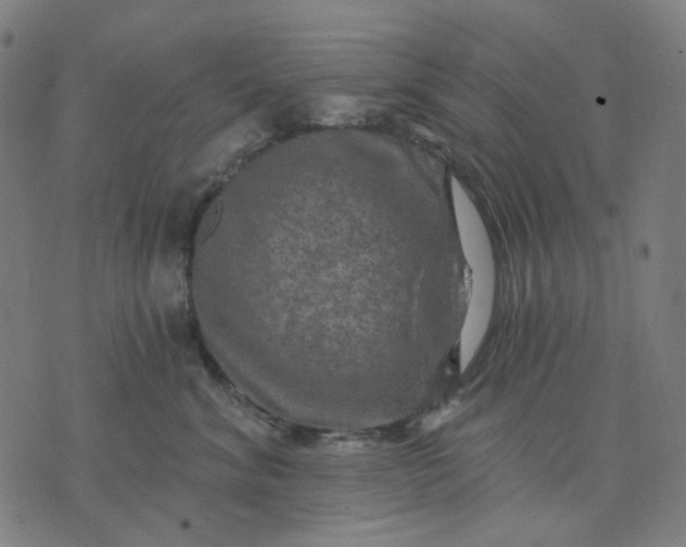 X0000074260620200609081738