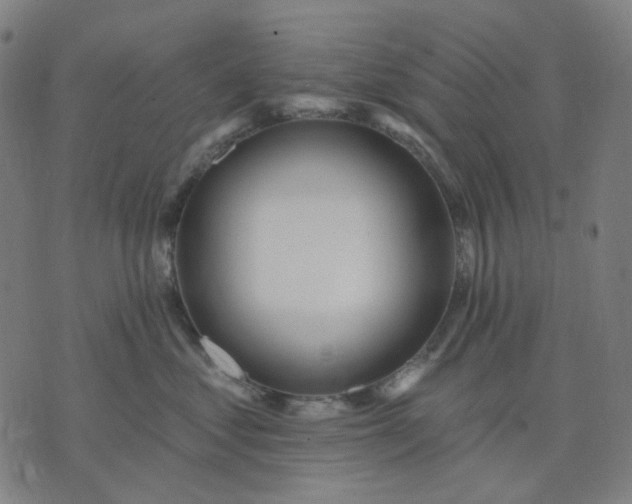 X0000074260621200609081738