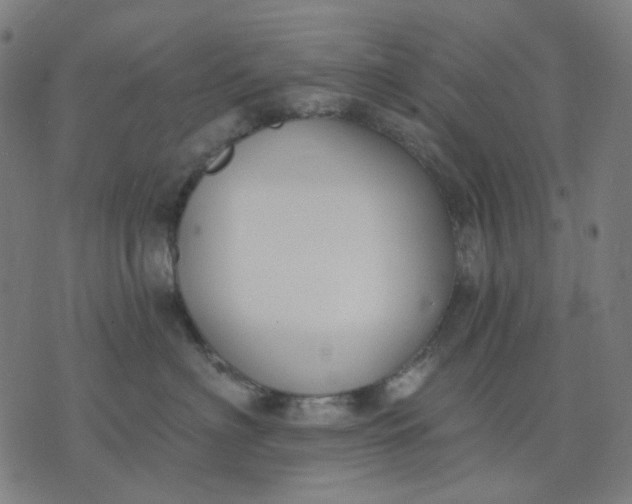 X0000074260622200609081738