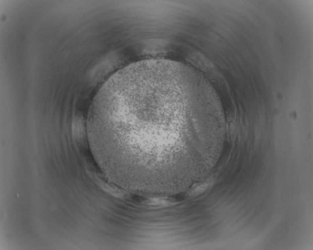 X0000074260623200609081738