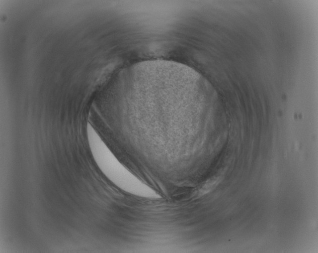 X0000074260624200609081738