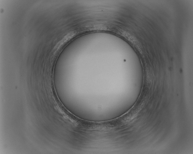 X0000074260625200609081737