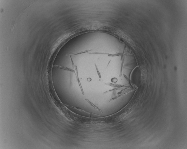 X0000074260626200609081737