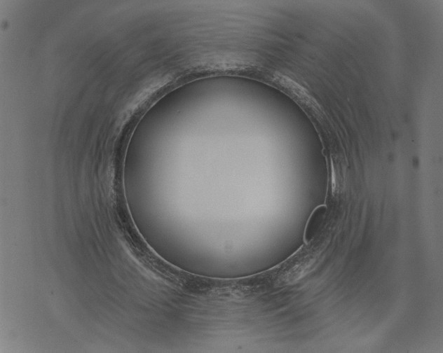 X0000074260627200609081737