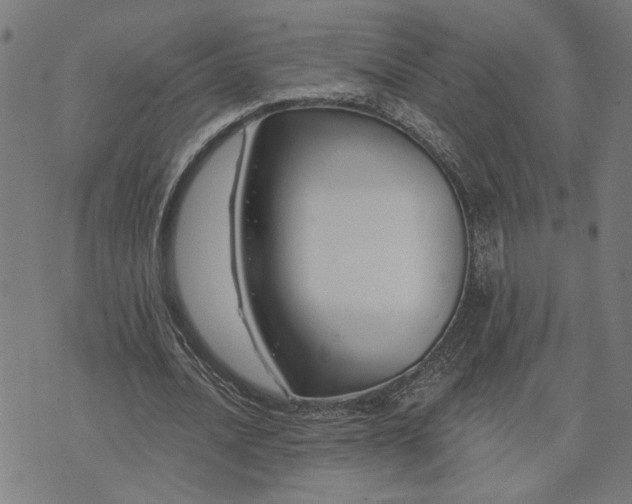 X0000074260628200609081737