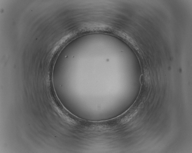 X0000074260629200609081737