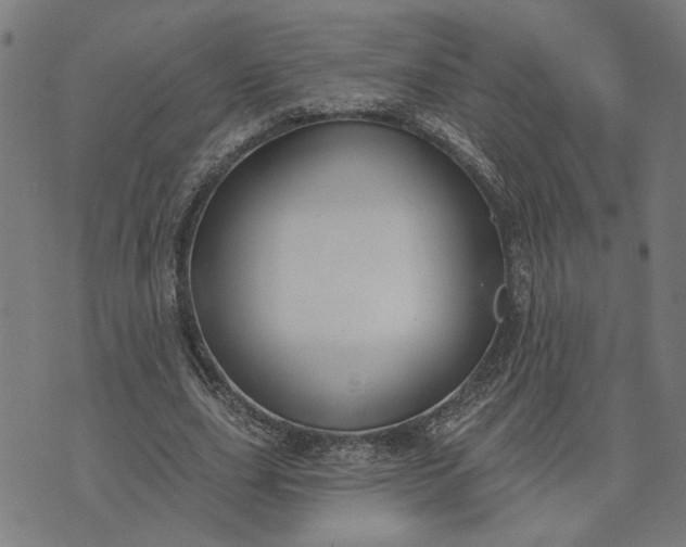 X0000074260631200609081737