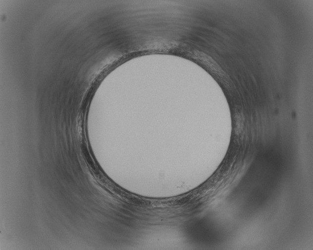 X0000074260632200609081737