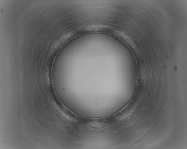 X0000074260633200609081737