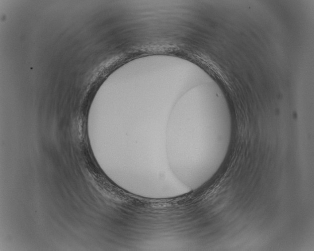 X0000074260636200609081737