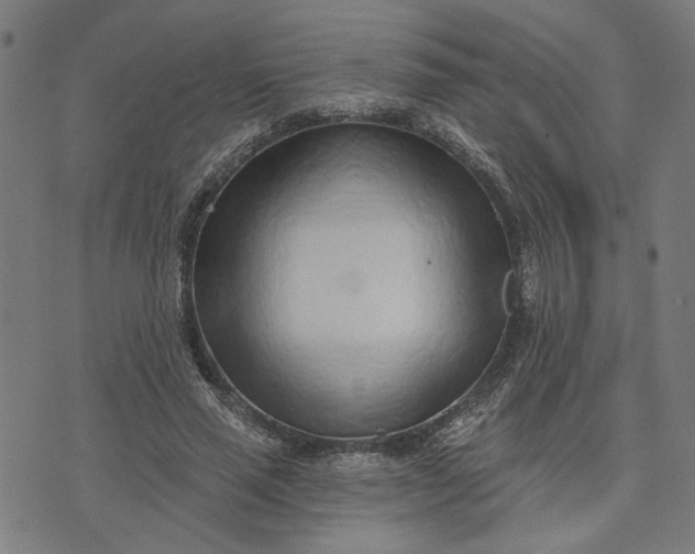 X0000074260637200609081737