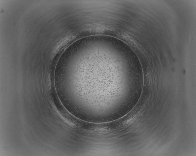 X0000074260638200609081737