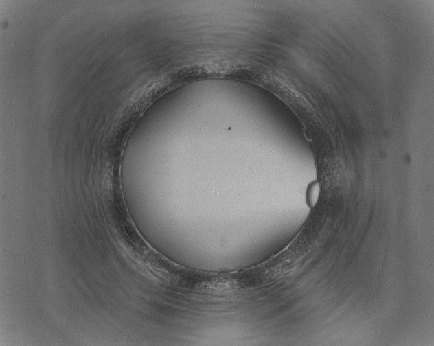 X0000074260639200609081737