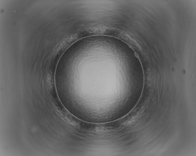 X0000074260641200609081737