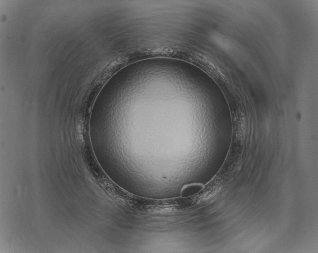 X0000074260643200609081737