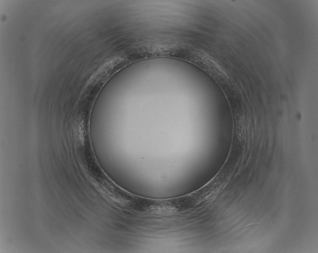 X0000074260644200609081737