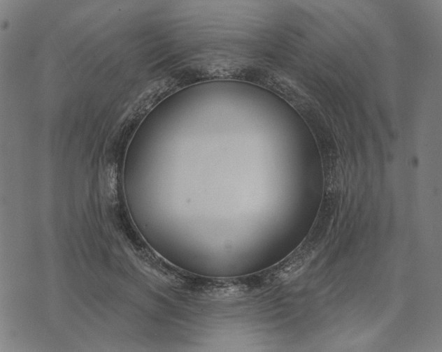 X0000074260646200609081737