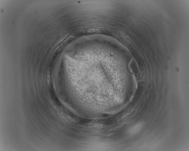 X0000074260648200609081737