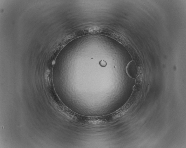 X0000074260650200609081737