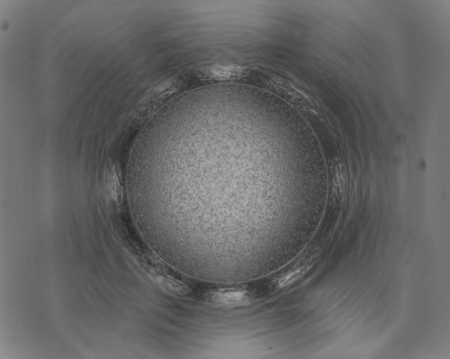 X0000074260651200609081737