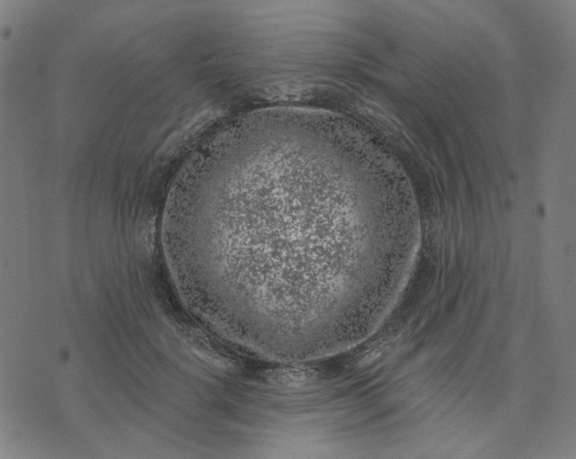 X0000074260652200609081737