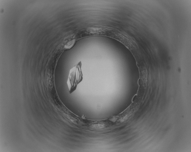 X0000074260653200609081737